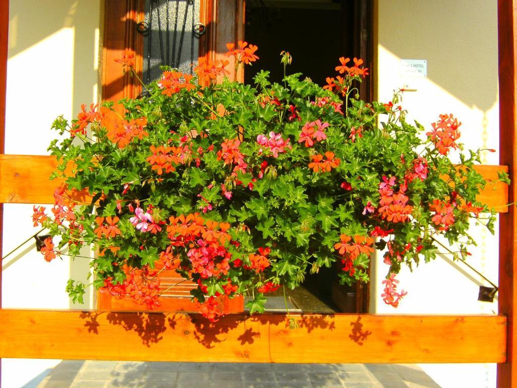 B&B Le Petit Normand Jalhay Extérieur photo